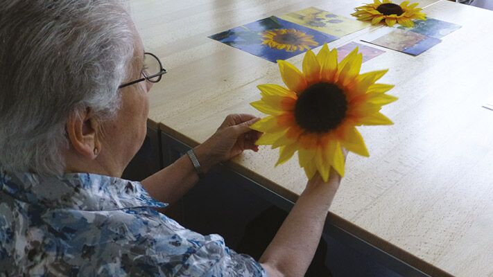 Alters- und Pflegeheime im Kanton Luzern 2013