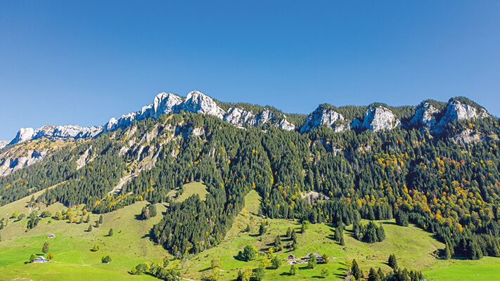 Fachbereich